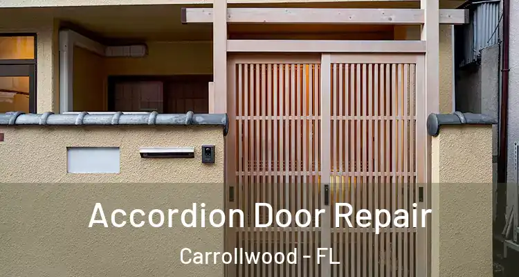  Accordion Door Repair Carrollwood - FL