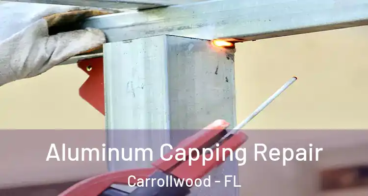  Aluminum Capping Repair Carrollwood - FL