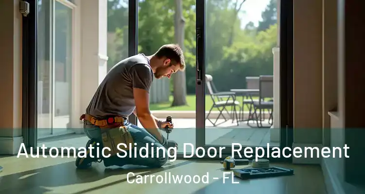  Automatic Sliding Door Replacement Carrollwood - FL