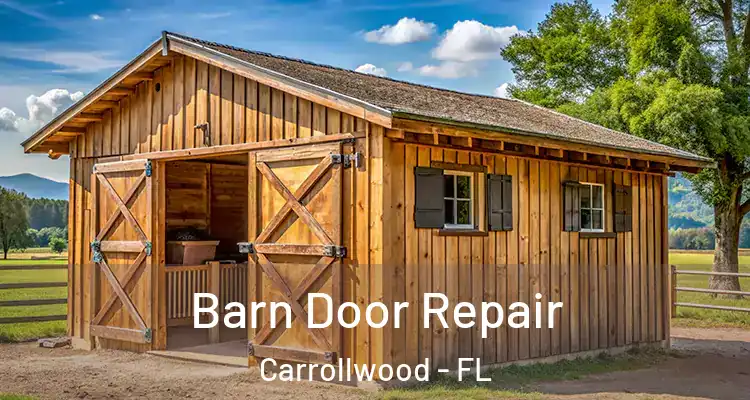  Barn Door Repair Carrollwood - FL