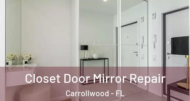  Closet Door Mirror Repair Carrollwood - FL