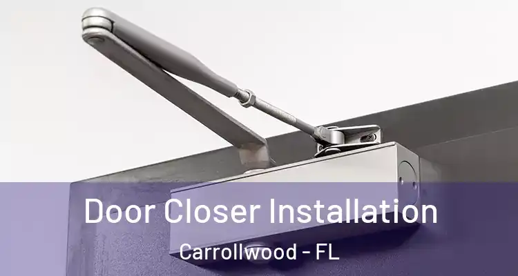  Door Closer Installation Carrollwood - FL