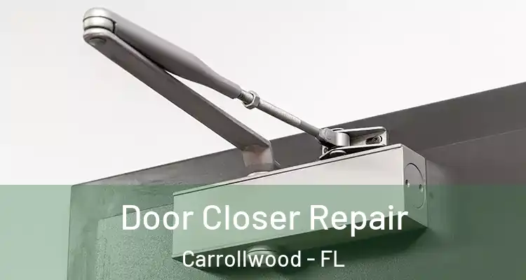  Door Closer Repair Carrollwood - FL
