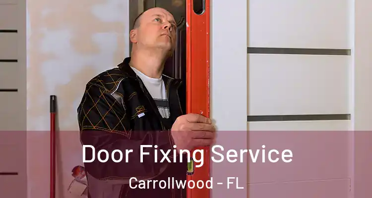  Door Fixing Service Carrollwood - FL