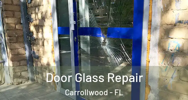  Door Glass Repair Carrollwood - FL