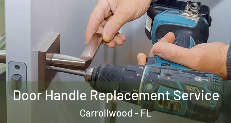  Door Handle Replacement Service Carrollwood - FL