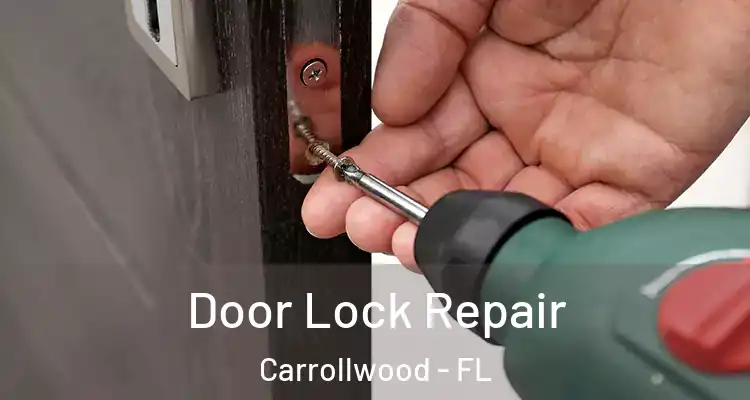  Door Lock Repair Carrollwood - FL