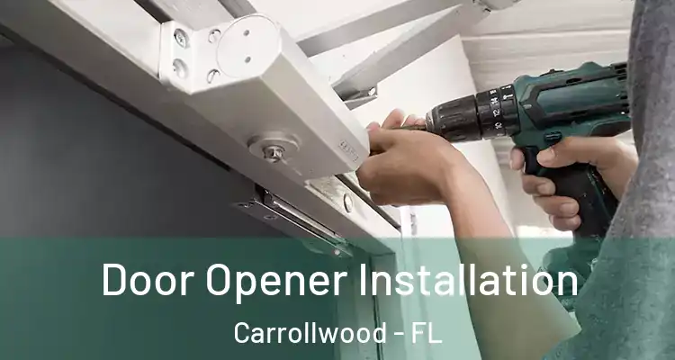  Door Opener Installation Carrollwood - FL