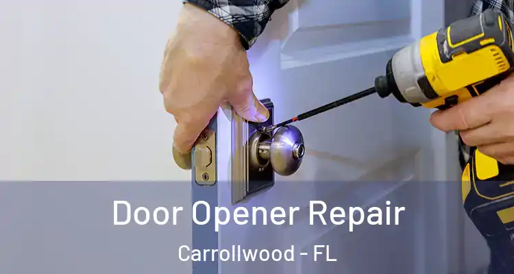  Door Opener Repair Carrollwood - FL