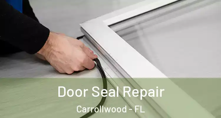  Door Seal Repair Carrollwood - FL