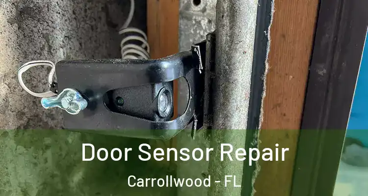  Door Sensor Repair Carrollwood - FL