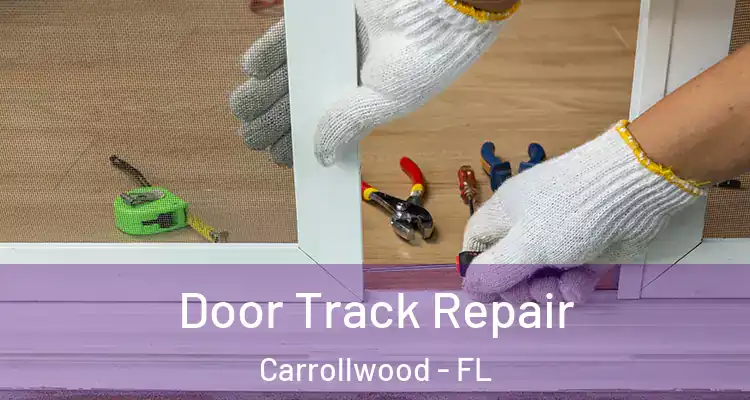  Door Track Repair Carrollwood - FL