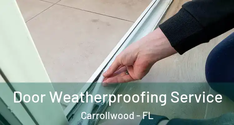  Door Weatherproofing Service Carrollwood - FL