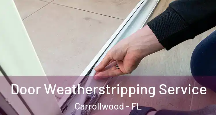  Door Weatherstripping Service Carrollwood - FL