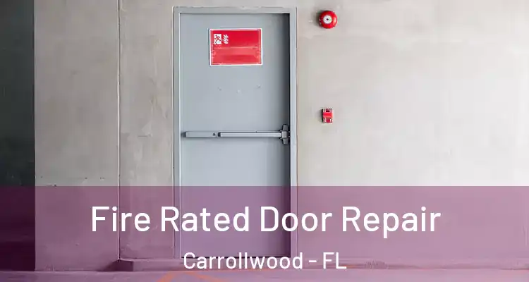  Fire Rated Door Repair Carrollwood - FL