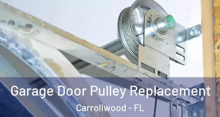  Garage Door Pulley Replacement Carrollwood - FL