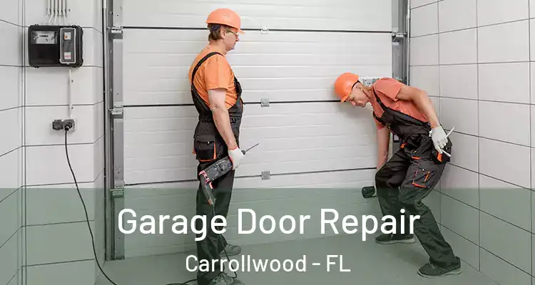  Garage Door Repair Carrollwood - FL