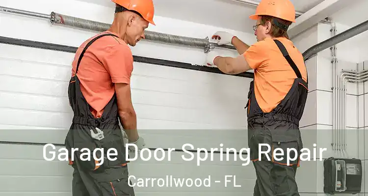  Garage Door Spring Repair Carrollwood - FL