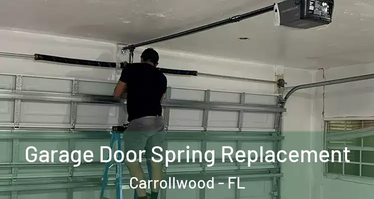  Garage Door Spring Replacement Carrollwood - FL