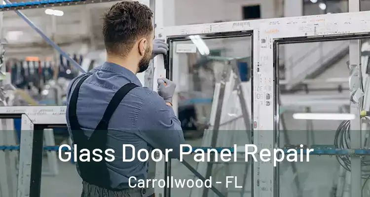  Glass Door Panel Repair Carrollwood - FL