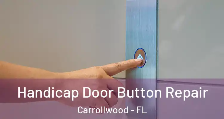  Handicap Door Button Repair Carrollwood - FL