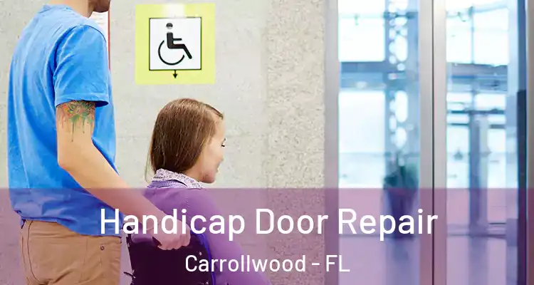  Handicap Door Repair Carrollwood - FL