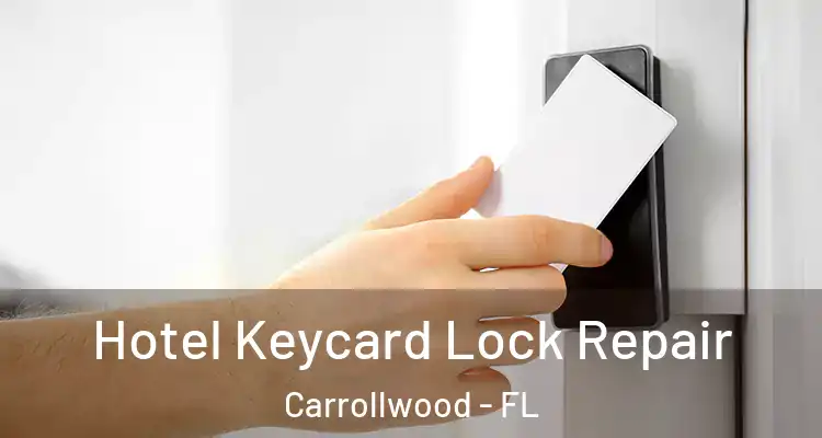  Hotel Keycard Lock Repair Carrollwood - FL