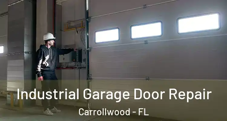  Industrial Garage Door Repair Carrollwood - FL
