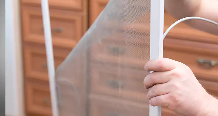Privacy Mesh Screen Door Installation in Carrollwood, FL