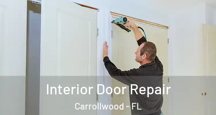  Interior Door Repair Carrollwood - FL