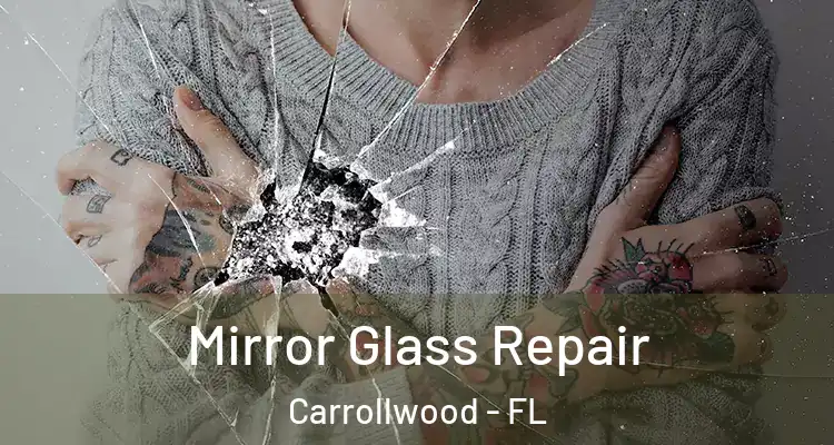  Mirror Glass Repair Carrollwood - FL