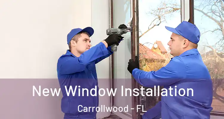  New Window Installation Carrollwood - FL