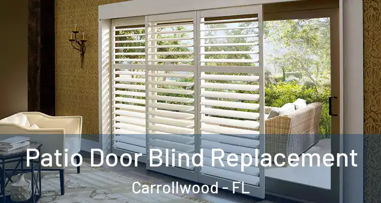  Patio Door Blind Replacement Carrollwood - FL