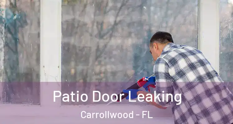  Patio Door Leaking Carrollwood - FL