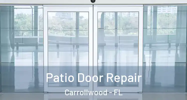  Patio Door Repair Carrollwood - FL