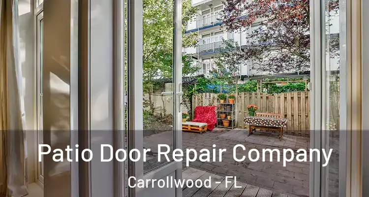  Patio Door Repair Company Carrollwood - FL