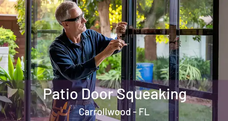  Patio Door Squeaking Carrollwood - FL