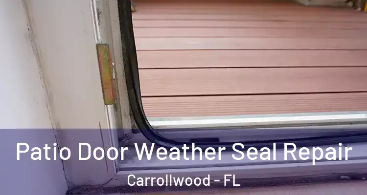  Patio Door Weather Seal Repair Carrollwood - FL
