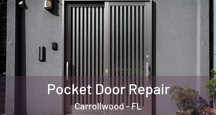  Pocket Door Repair Carrollwood - FL