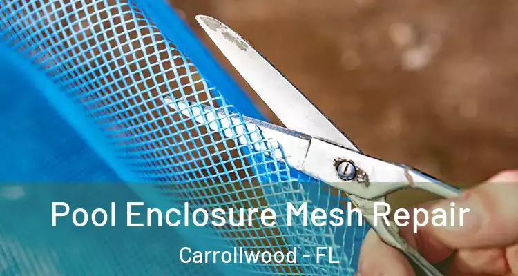  Pool Enclosure Mesh Repair Carrollwood - FL