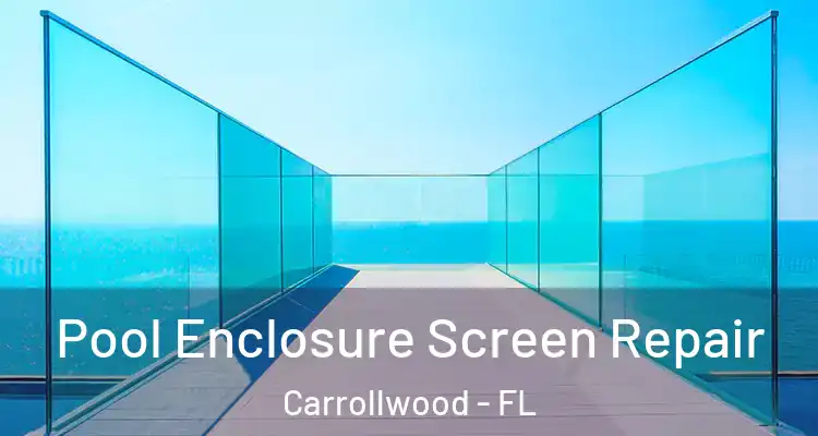  Pool Enclosure Screen Repair Carrollwood - FL