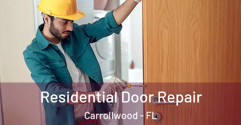  Residential Door Repair Carrollwood - FL
