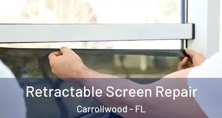  Retractable Screen Repair Carrollwood - FL