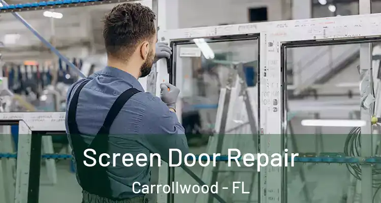  Screen Door Repair Carrollwood - FL