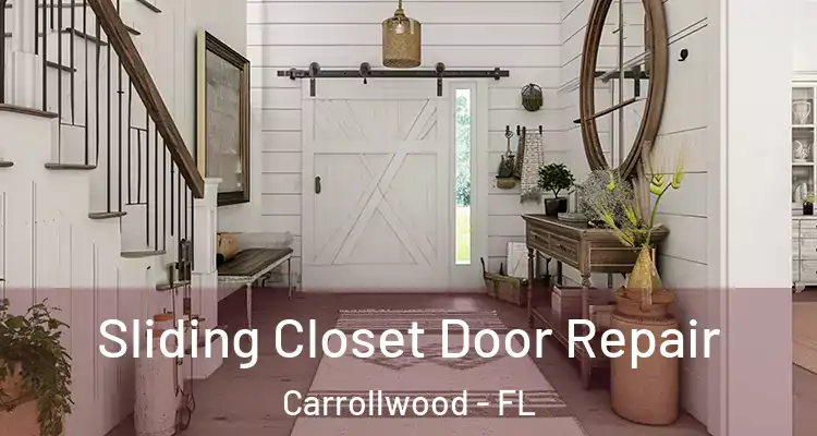  Sliding Closet Door Repair Carrollwood - FL