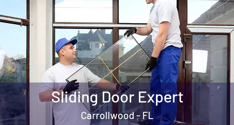  Sliding Door Expert Carrollwood - FL