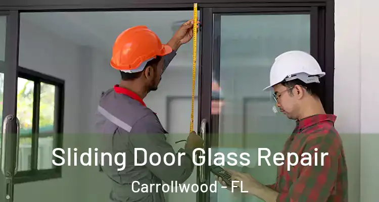  Sliding Door Glass Repair Carrollwood - FL