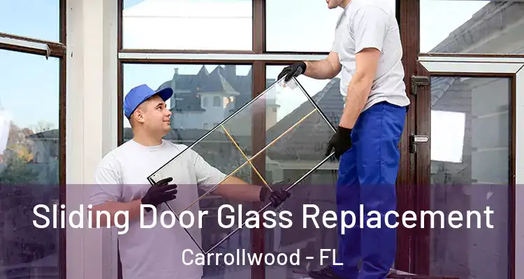 Sliding Door Glass Replacement Carrollwood - FL