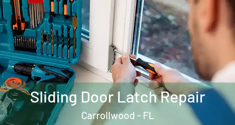 Sliding Door Latch Repair Carrollwood - FL