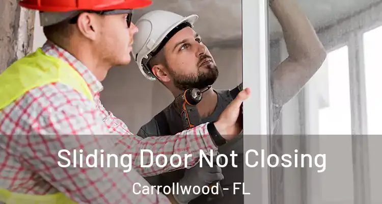  Sliding Door Not Closing Carrollwood - FL